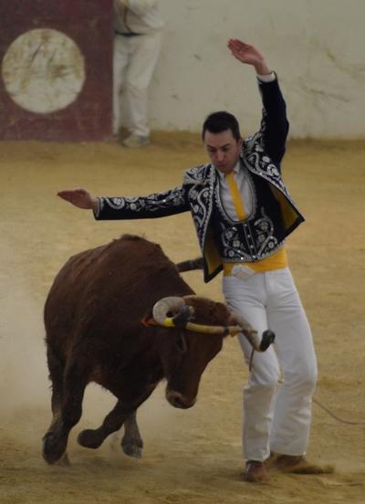 Corentin Virepinte
