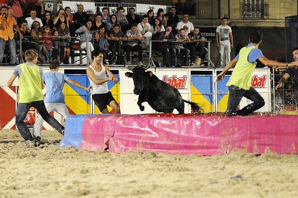 Toro Piscine