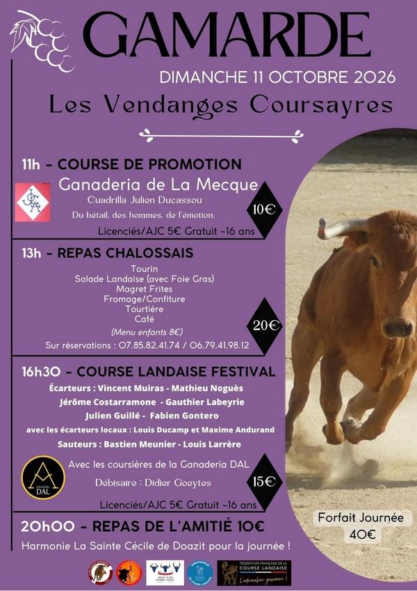 Gamarde 17