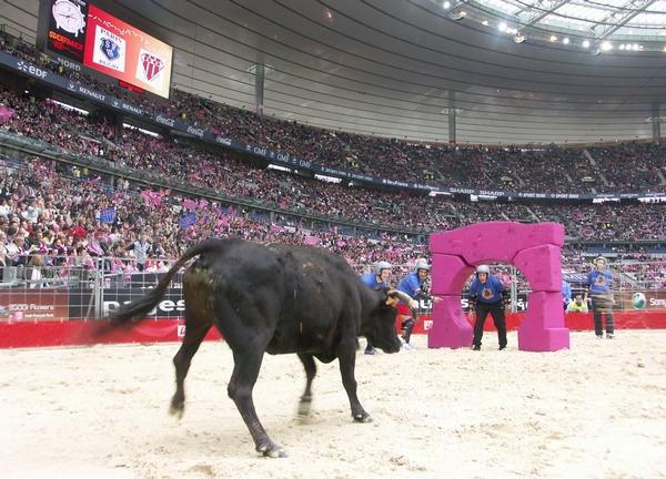 Labat stade de france