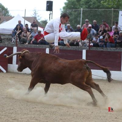 Kevin Ribeiro Tarsac