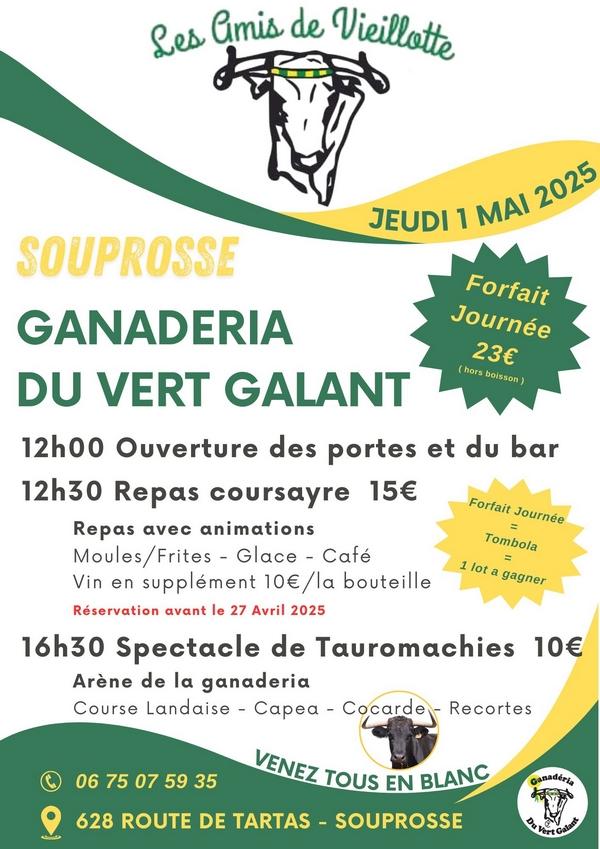 Souprosse vert galant