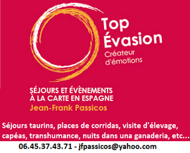 Top Evasion